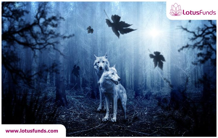 Weekly Market Wrap: Saturday, July 5th 2025  